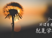 开云APP-为了满足唯一性和关键作用，我构思了一个颠覆性的设定