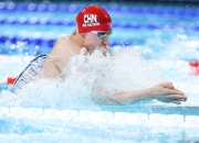 开云下载-世界赛舞台，游泳代表国家出征荣耀的简单介绍