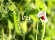 开云体育中国-弯道超墙，当F1刹车点成为致命抢断，上海队从街道赛带走黄蜂