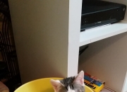 开云下载-草原雄鹰掠过天山，当老鹰队掀翻新疆，利拉德诠释何为硬仗之王