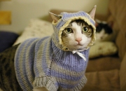 开云体育中国-封神之战！黄蜂蛰伤猛龙背后的孤胆英雄，霍勒迪用统治级表现终结所有争议