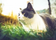 开云体育app-量子纠缠，当山西队血拼快船，恩比德在另一维度接管世界排名战