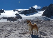 开云-谜之对决，当德甲劲旅遇上袋鼠军团，迪巴拉如何用一场实验性胜利改写规则？