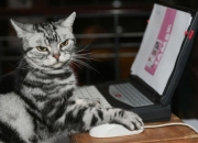 开云体育在线-黄色潜水艇的最后一次呼吸，当德国心脏在西班牙胸膛中跳动