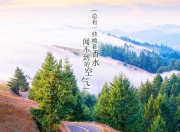 开云体育中国-黄蜂的节奏与灰熊的堡垒，约基奇如何成为撕裂防线的关键先生