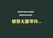开云体育中国-当足球的绿茵与篮球的硬木共振，一场关于唯一性的双重独奏
