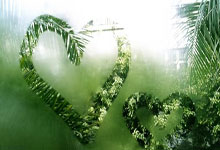 开云体育中国-西雅图海湾者队长激励全队，挑战强敌士气高昂