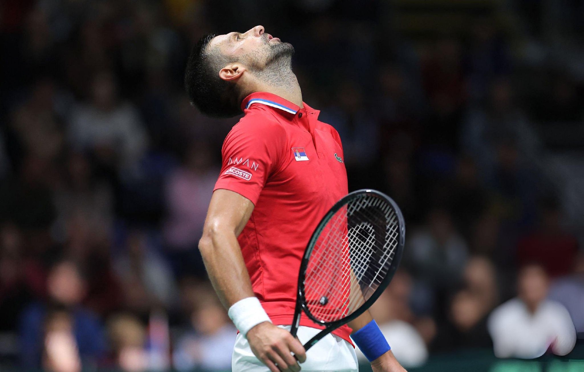 戴维斯杯碾压联合杯,德约科维奇惊艳四座 戴维斯杯碾压联合杯,德约科维奇惊艳四座