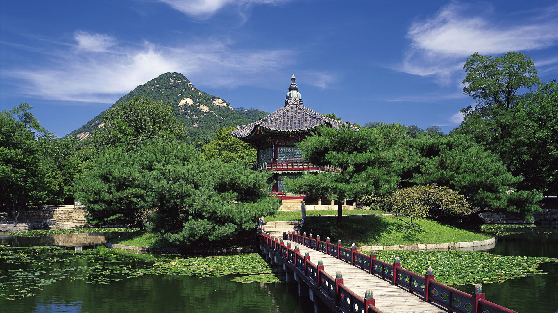 绿茵火焰与塞纳晨曦,加克波统治级数据背后的城市意志力