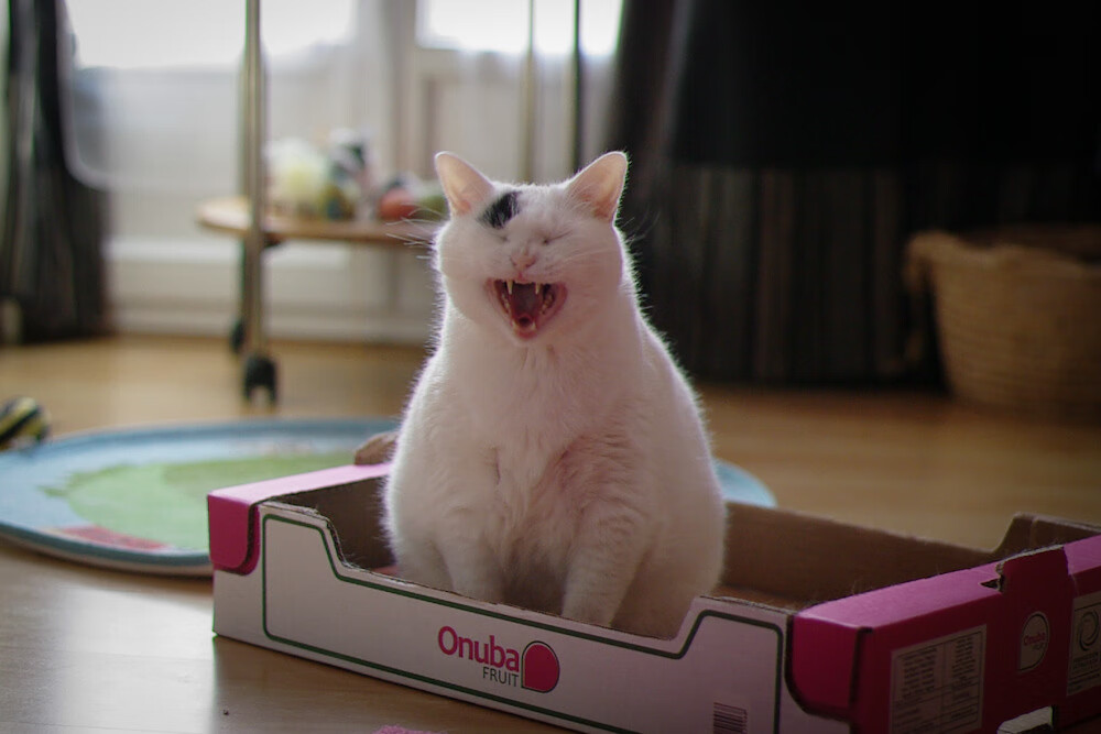 决胜时刻,当勒布朗与乔治在平行时空点燃王座