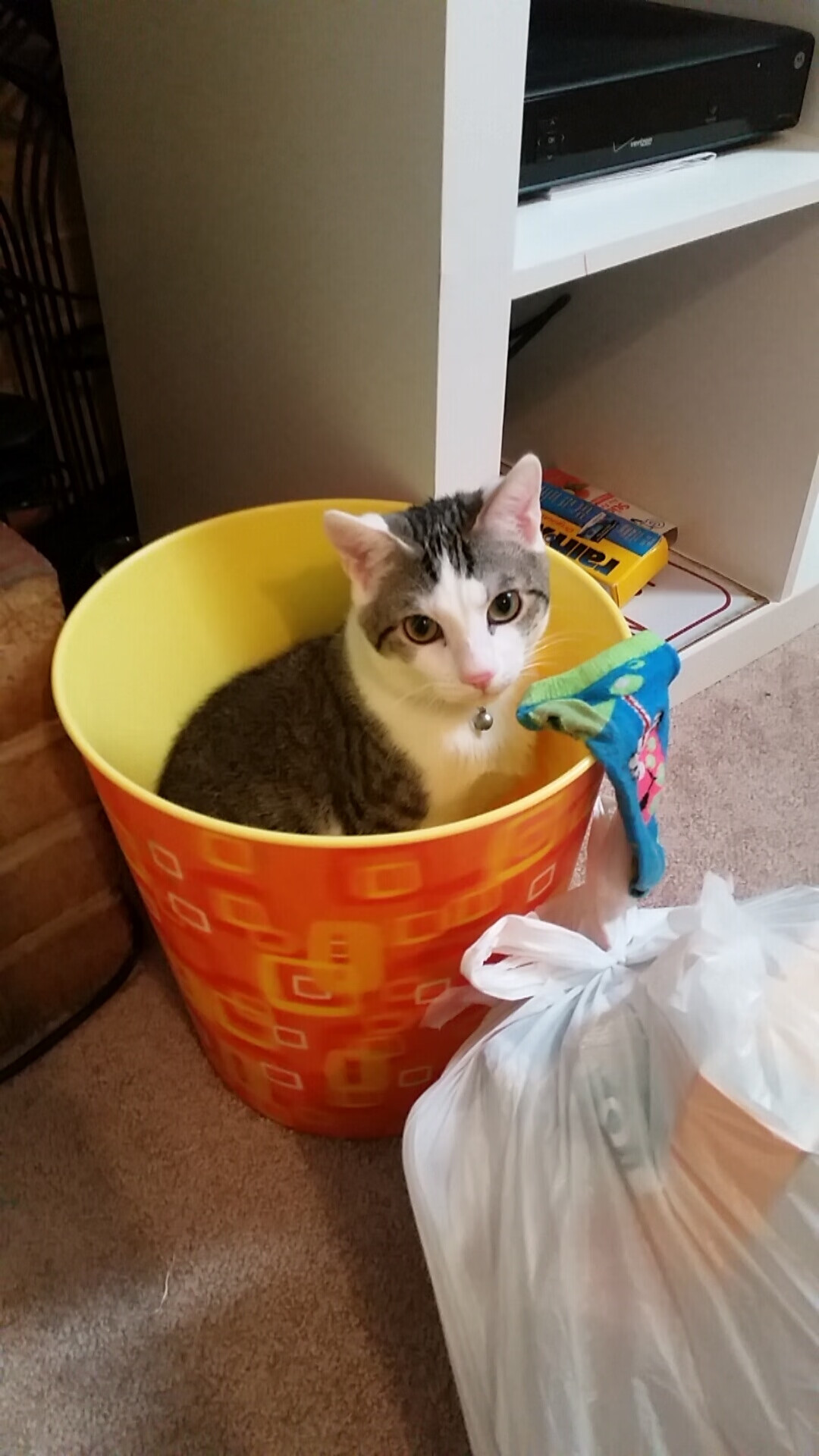 意甲绿茵场上的篮球绝杀,广厦队跨界绝杀爵士