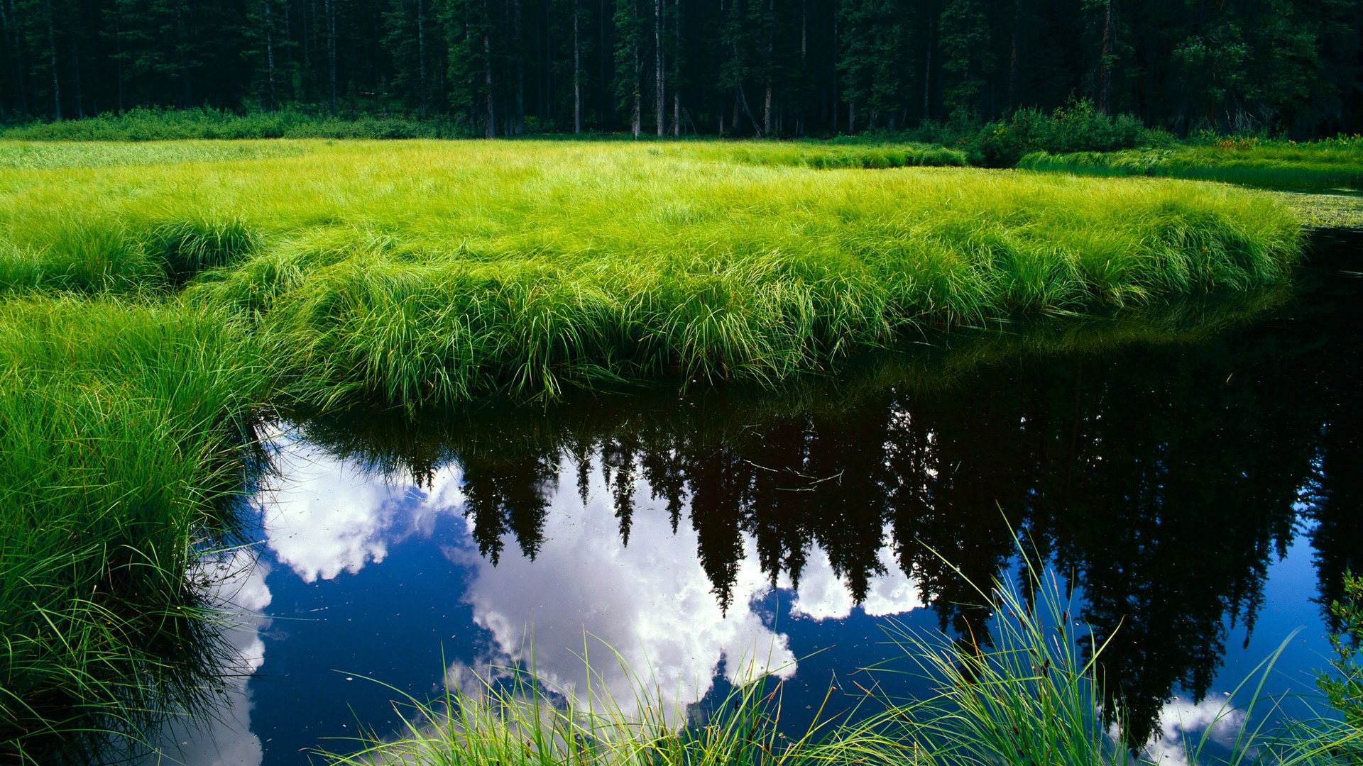 当法甲遭遇沙漠豪阵，阿圭罗在雷恩的告别演出，何以引爆银河系级数据？