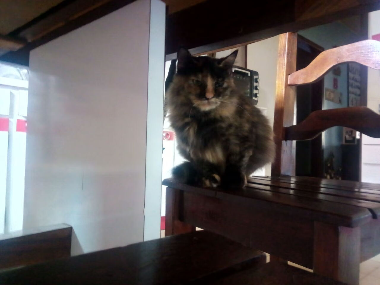 欧冠新秩序，雷恩弑神夜如何轻取西班牙巨人