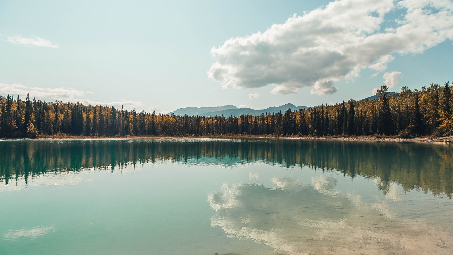 钢铁之翼与破晓法典，武切维奇如何在总决赛接管比赛，书写鹈鹕压制骑士的传奇