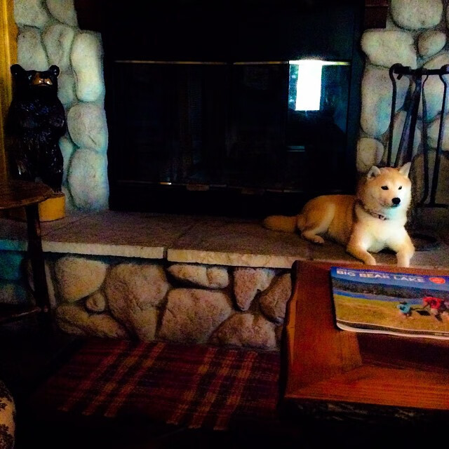 跨界焦点战，欧冠决赛的启示与雷霆强行终结广东队的体育唯一性