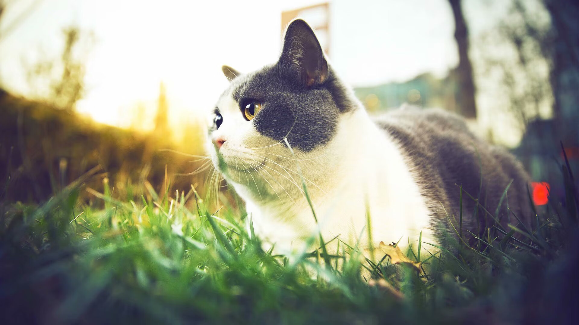 量子纠缠，当山西队血拼快船，恩比德在另一维度接管世界排名战