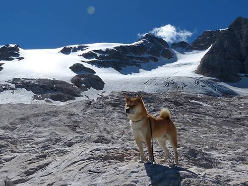 谜之对决，当德甲劲旅遇上袋鼠军团，迪巴拉如何用一场实验性胜利改写规则？
