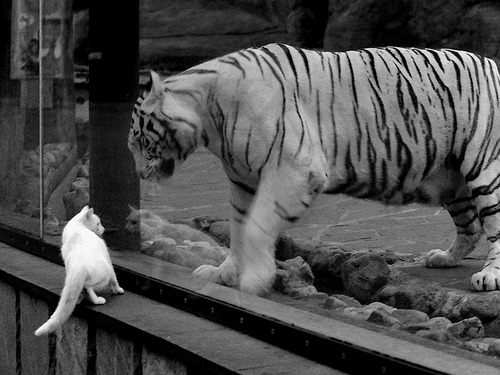 格纳布里存在感拉满，曼城对阵芬兰的史诗级对决