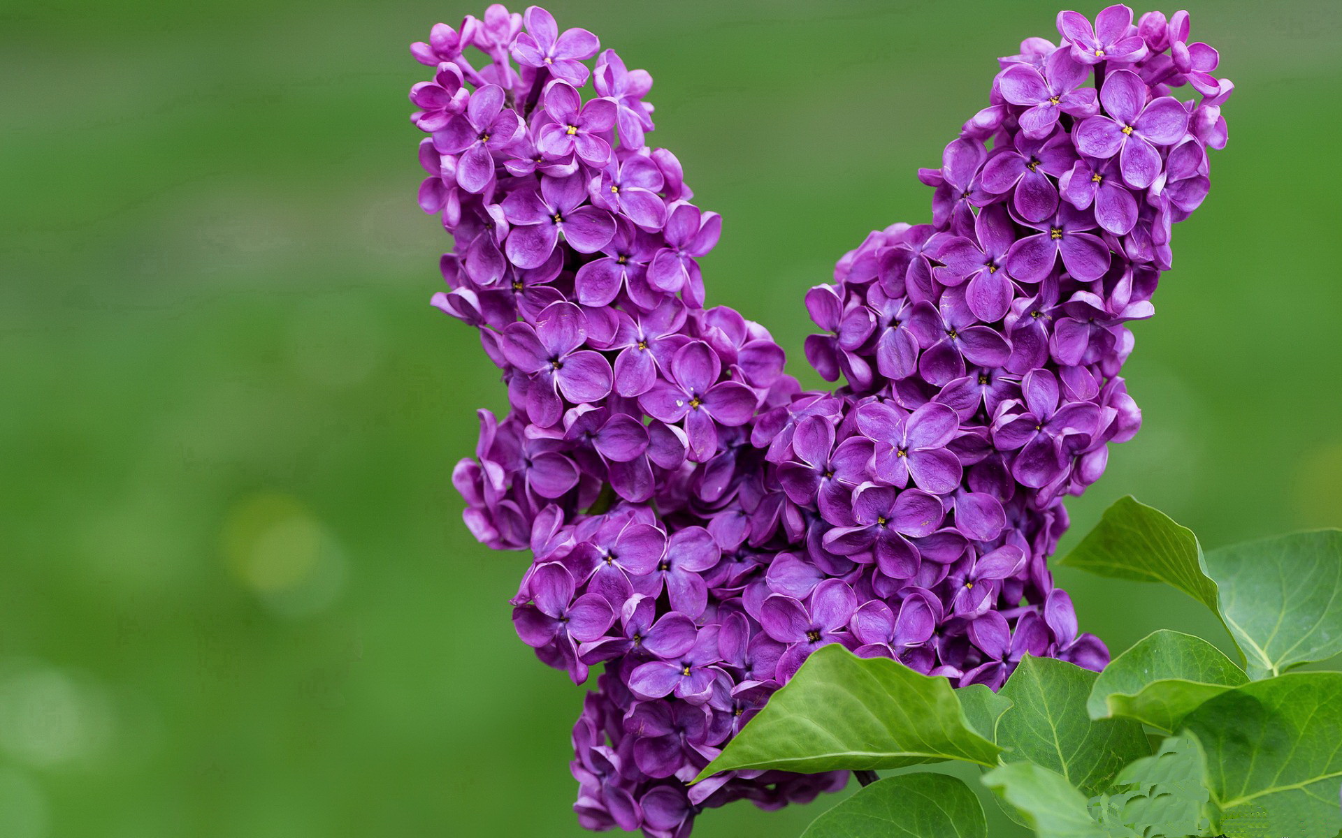 旧神的黄昏与新王的加冕，当篮球世界的平行线在宿命交叉